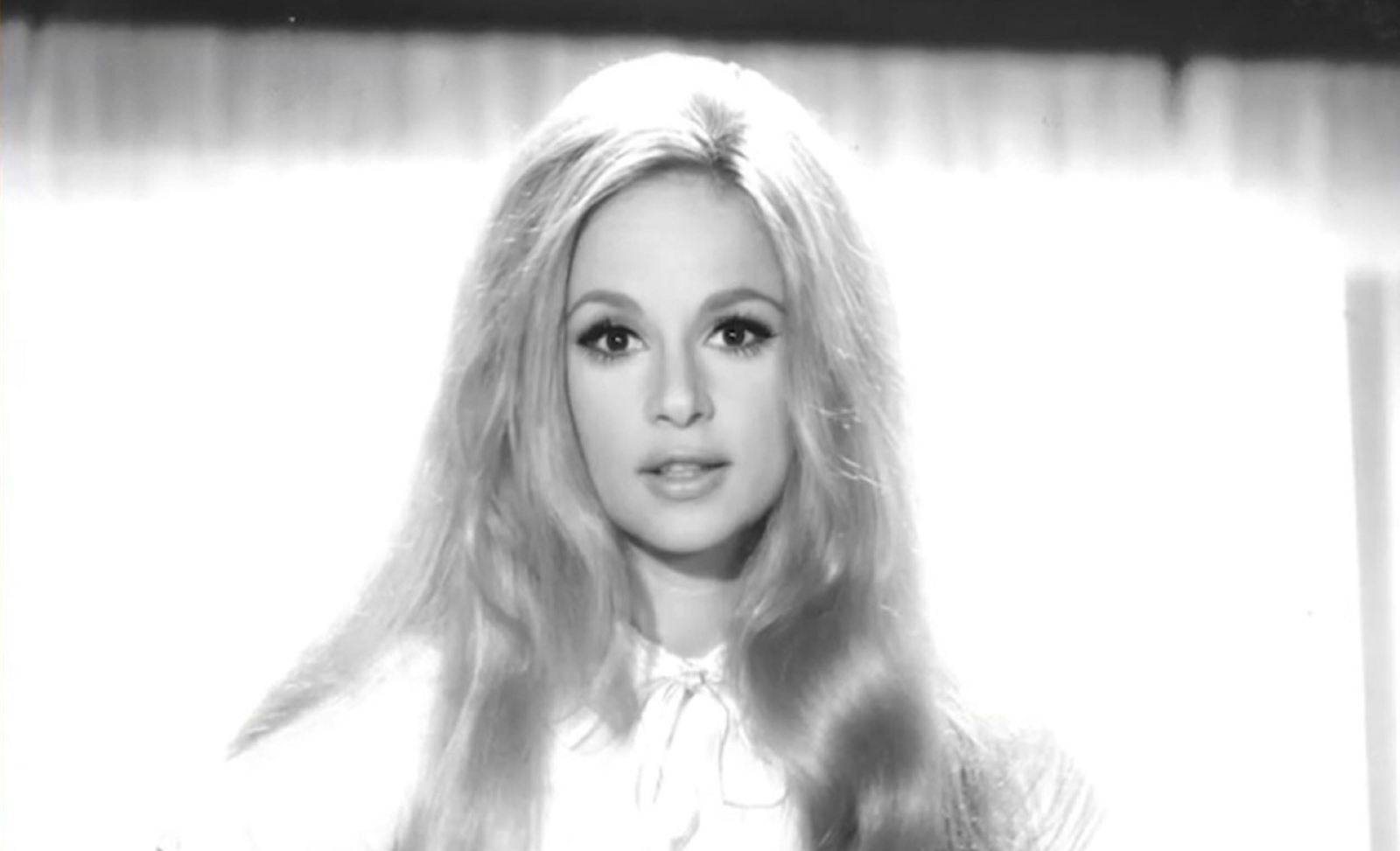 81072e88a6d56309f571dcbee7cda9d4 XL