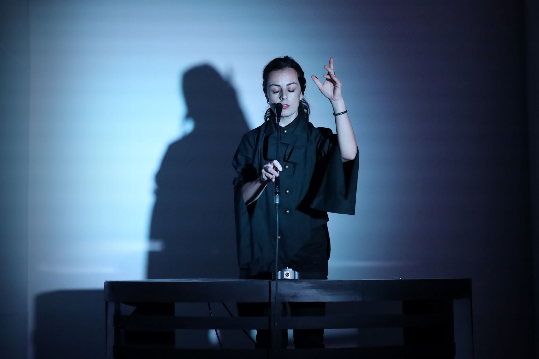 EleftheriaEisThanaton 2a Αnastasia Giannaki 2