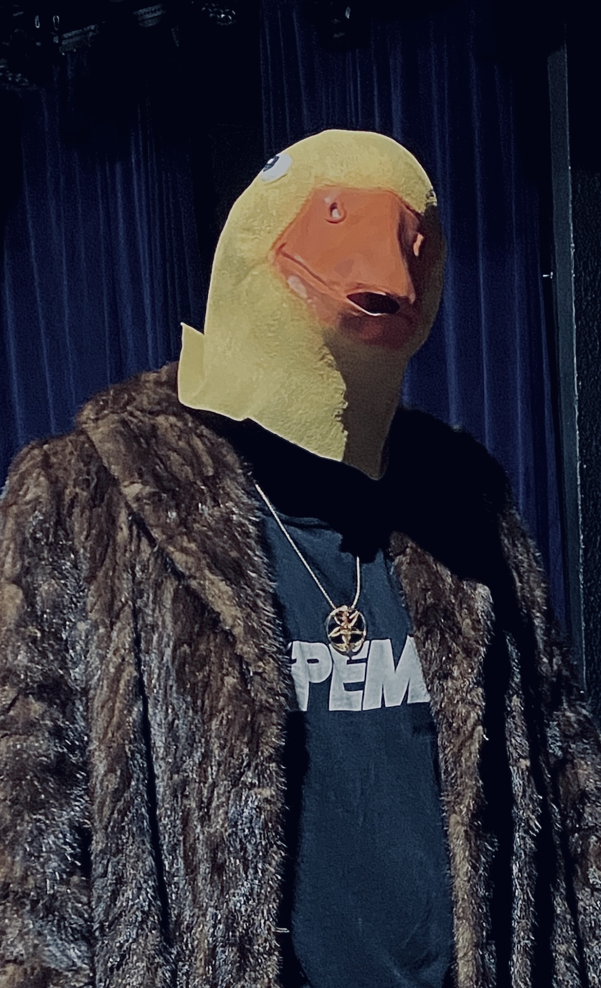 IMG 1856