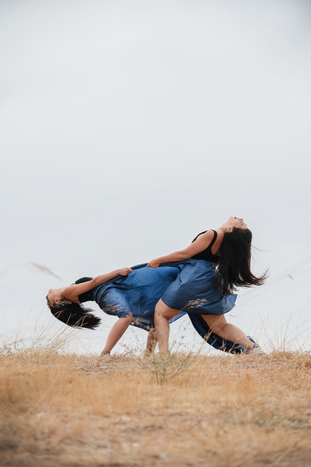 Αστεροειδής 2467Κ 13 ARV 8512 Large