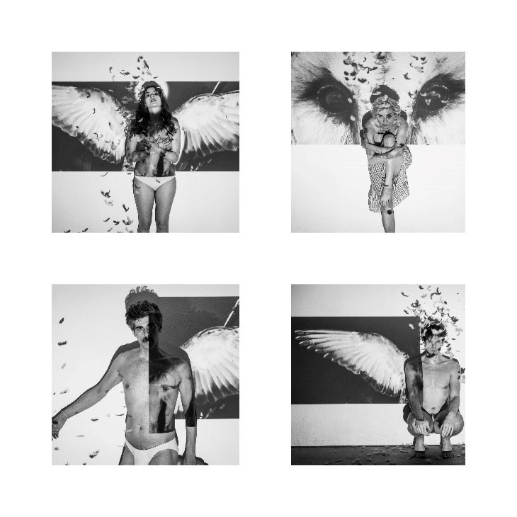 η νύχτα της κουκουβάγιας κολάζ