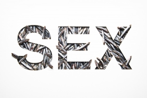 &Sigma;&epsilon;&xi;