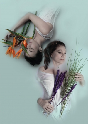 &laquo;&Xi;&alpha;&phi;&nu;&iota;&kappa;ά &Pi;έ&rho;&sigma;&iota; &tau;&omicron; &Kappa;&alpha;&lambda;&omicron;&kappa;&alpha;ί&rho;&iota;&raquo; &tau;&omicron;&upsilon; &Tau;έ&nu;&epsilon;&sigma;&iota; &Omicron;&upsilon;ί&lambda;&iota;&alpha;&mu;&sigmaf;