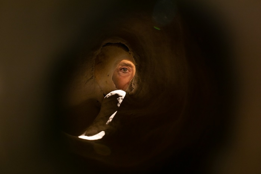 &Theta;&epsilon;&omicron;&delta;ώ&rho;&alpha; &Chi;&omega;&rho;&alpha;&phi;ά | &Mu;ή&tau;&epsilon; &Gamma;έ&nu;&nu;&eta;&sigma;&eta;, &Mu;ή&tau;&epsilon; &Theta;ά&nu;&alpha;&tau;&omicron;&sigmaf; - &Pi;&rho;&omicron;&sigma;&omega;&pi;&iota;&kappa;έ&sigmaf; &Alpha;&nu;&alpha;&sigma;&kappa;&alpha;&phi;έ&sigmaf; | &Mu;&iota;&alpha; &alpha;&nu;&alpha;&sigma;&kappa;&alpha;&phi;ή &sigma;&tau;&omicron; &chi;&rho;ό&nu;&omicron;