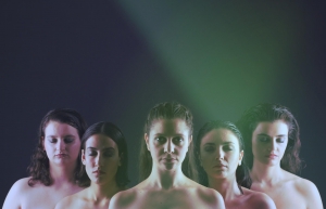 &Alpha;&pi;ό &tau;&omicron; &kappa;&omicron;&upsilon;&kappa;&omicron;ύ&lambda;&iota; &sigma;&tau;&eta;&nu; &pi;&epsilon;&tau;&alpha;&lambda;&omicron;ύ&delta;&alpha; &sigma;&epsilon; &sigma;ύ&lambda;&lambda;&eta;&psi;&eta; &kappa;&alpha;&iota; &sigma;&kappa;&eta;&nu;&omicron;&theta;&epsilon;&sigma;ί&alpha; &Phi;&lambda;&omega;&rho;&epsilon;&nu;&tau;ί&alpha;&sigmaf; &Mu;&pi;έ&mu;&pi;&eta; &sigma;&tau;&omicron; &Theta;έ&alpha;&tau;&rho;&omicron; Nous &alpha;&pi;ό &tau;&iota;&sigmaf; 11 &Iota;&alpha;&nu;&omicron;&upsilon;&alpha;&rho;ί&omicron;&upsilon;